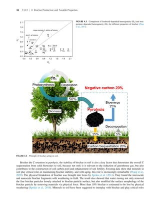 Biochar In Agriculture For Achieving Sustainable Development Goals ...