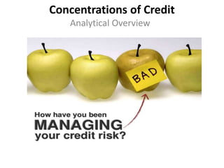 Concentrations of Credit
Analytical Overview
 