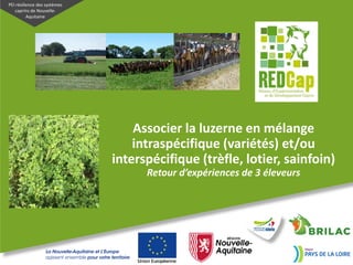 PEI résilience des systèmes
caprins de Nouvelle-
Aquitaine
Associer la luzerne en mélange
intraspécifique (variétés) et/ou
interspécifique (trèfle, lotier, sainfoin)
Retour d’expériences de 3 éleveurs
 