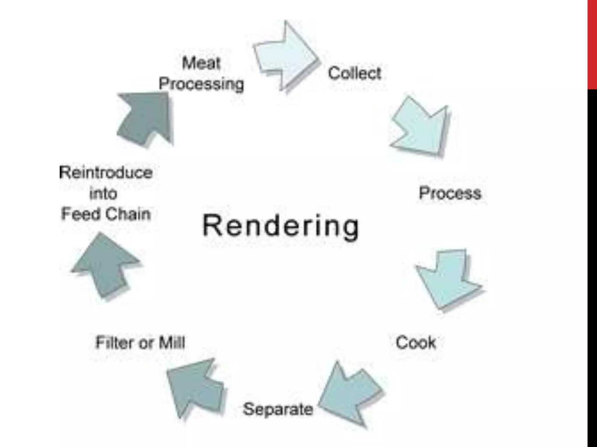 Utilization of meat Industry byproducts and Wastes PPT