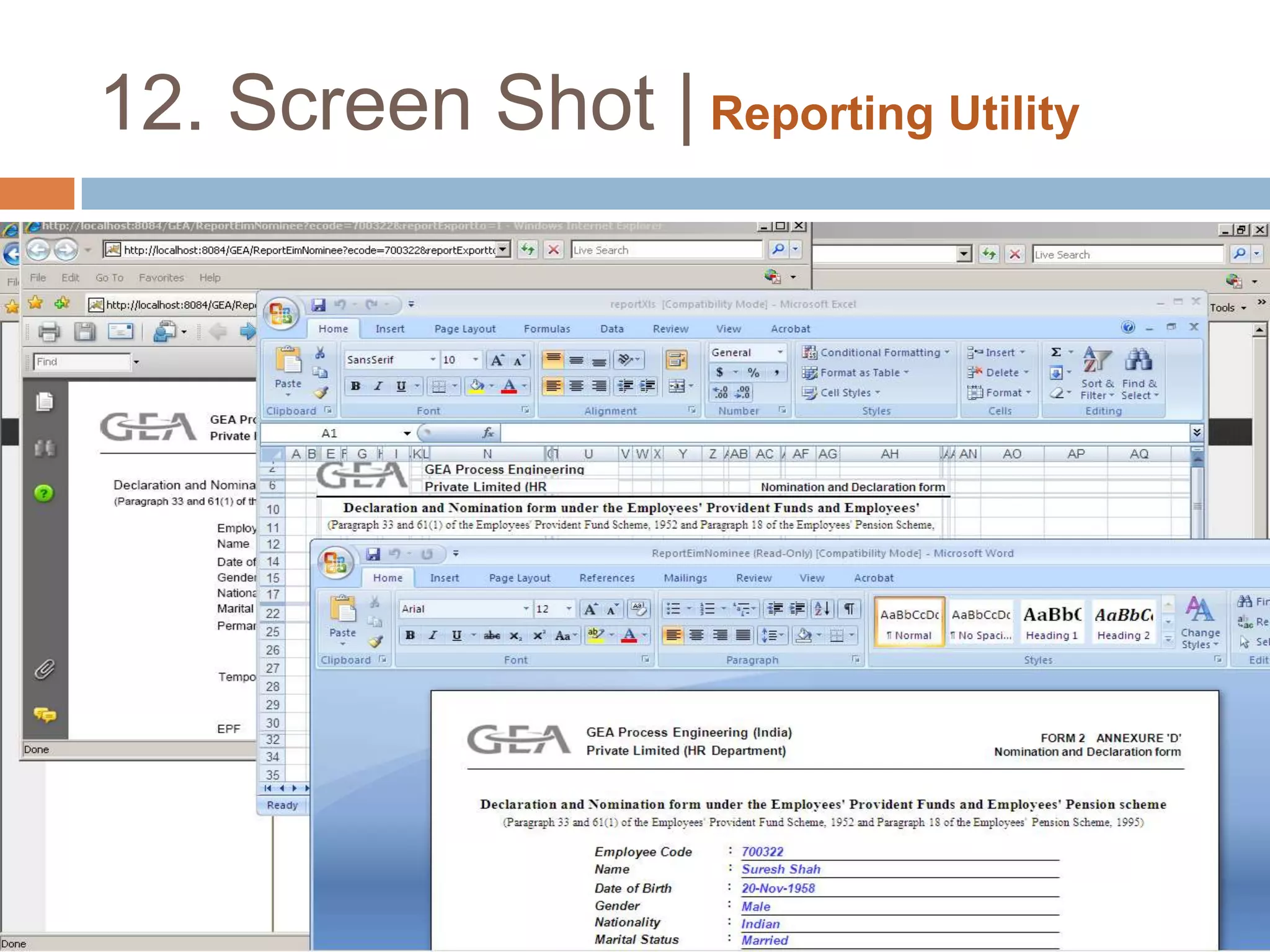 12. Screen Shot | Verification Report