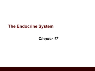 The Endocrine System
Chapter 17
 