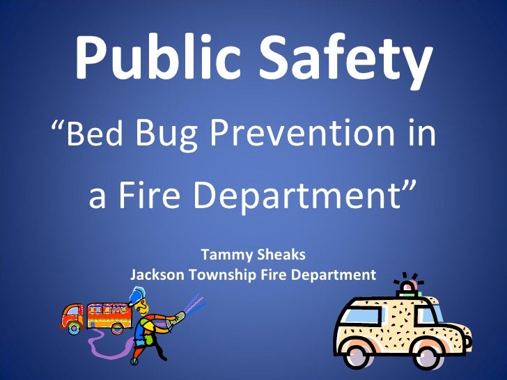 bed bugs prevention