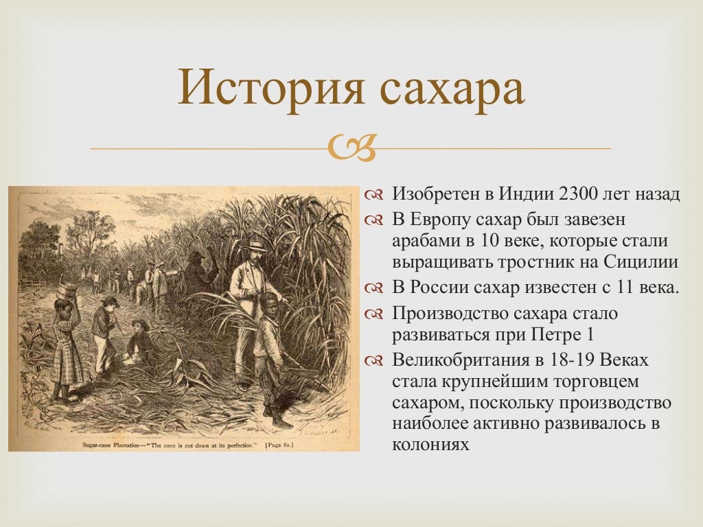 Сахар история. Факты о сахаре. История изобретение сахара. В каком году изобрели сахар. Сахар история возникновения.