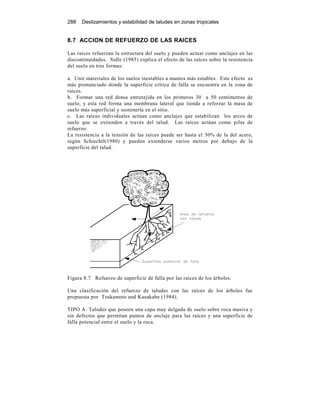 288 Deslizamientos y estabilidad de taludes en zonas tropicales
8.7 ACCION DE REFUERZO DE LAS RAICES
Las raíces refuerzan la estructura del suelo y pueden actuar como anclajes en las
discontinuidades. Sidle (1985) explica el efecto de las raíces sobre la resistencia
del suelo en tres formas:
a. Unir materiales de los suelos inestables a mantos más estables. Este efecto es
más pronunciado donde la superficie crítica de falla se encuentra en la zona de
raíces.
b. Formar una red densa entretejida en los primeros 30 a 50 centímetros de
suelo, y esta red forma una membrana lateral que tiende a reforzar la masa de
suelo más superficial y sostenerla en el sitio.
c. Las raíces individuales actúan como anclajes que estabilizan los arcos de
suelo que se extienden a través del talud. Las raíces actúan como pilas de
refuerzo
La resistencia a la tensión de las raíces puede ser hasta el 30% de la del acero,
según Schiechtl(1980) y pueden extenderse varios metros por debajo de la
superficie del talud.
Figura 8.7 Refuerzo de superficie de falla por las raíces de los árboles.
Una clasificación del refuerzo de taludes con las raíces de los árboles fue
propuesta por Tsukamoto and Kusakabe (1984).
TIPO A: Taludes que poseen una capa muy delgada de suelo sobre roca masiva y
sin defectos que permitan puntos de anclaje para las raíces y una superficie de
falla potencial entre el suelo y la roca.
 