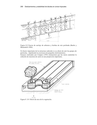 290 Deslizamientos y estabilidad de taludes en zonas tropicales
Figura 8.9 Fuerza de anclaje de arbustos y hierbas de raíz profunda (Bache y
Mackaskill 1984).
Un factor importante de la estructura radicular es su efecto de unir los grupos de
partículas, impidiendo la ocurrencia de pequeños deslizamientos.
Ensayos realizados por Campos (1991) demuestran que las raíces aumentan la
cohesión de muestras de suelo en una proporción importante.
Figura 8 .10 Efecto de arco de la vegetación.
 