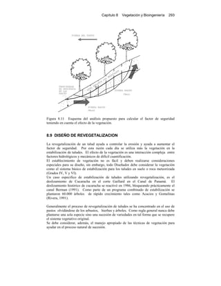 Capítulo 8 Vegetación y Bioingeniería 293
Figura 8.11 Esquema del análisis propuesto para calcular el factor de seguridad
teniendo en cuenta el efecto de la vegetación.
8.9 DISEÑO DE REVEGETALIZACION
La revegetalización de un talud ayuda a controlar la erosión y ayuda a aumentar el
factor de seguridad. Por esta razón cada día se utiliza más la vegetación en la
estabilización de taludes. El efecto de la vegetación es una interacción compleja entre
factores hidrológicos y mecánicos de difícil cuantificación.
El establecimiento de vegetación no es fácil y deben realizarse consideraciones
especiales para su diseño, sin embargo, todo Diseñador debe considerar la vegetación
como el sistema básico de estabilización para los taludes en suelo o roca meteorizada
(Grados IV, V y VI).
Un caso especifico de estabilización de taludes utilizando revegetalización, es el
deslizamiento de Cucaracha en el corte Gaillard en el Canal de Panamá. El
deslizamiento histórico de cucaracha se reactivó en 1986, bloqueando prácticamente el
canal Berman (1991). Como parte de un programa combinado de estabilización se
plantaron 60.000 árboles de rápido crecimiento tales como Acacios y Gomelinas
(Rivera, 1991).
Generalmente el proceso de revegetalización de taludes se ha concentrado en el uso de
pastos olvidándose de los arbustos, hierbas y árboles. Como regla general nunca debe
plantarse una sola especie sino una sucesión de variedades en tal forma que se recupere
el sistema vegetativo original.
Se debe considerar, además, el manejo apropiado de las técnicas de vegetación para
ayudar en el proceso natural de sucesión.
 