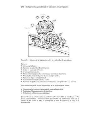 276 Deslizamientos y estabilidad de taludes en zonas tropicales
Figura 8.1 Efectos de la vegetación sobre la estabilidad de una ladera.
Factores:
1. Intercepta la lluvia.
2. Aumenta la capacidad de infiltración.
3. Extrae la humedad del suelo.
4. Grietas por desecación.
5. Raíces refuerzan el suelo, aumentando resistencia al cortante.
6. Anclan el suelo superficial a mantos más profundos.
7. Aumentan el peso sobre el talud.
8. Transmiten al suelo fuerza del viento.
9. Retienen las partículas del suelo disminuyendo susceptibilidad a la erosión.
La deforestación puede afectar la estabilidad de un talud de varias formas:
a. Disminuyen las tensiones capilares de la humedad superficial.
b. Se elimina el factor de refuerzo de las raíces.
c. Se facilita la infiltración masiva de agua.
De acuerdo con un estudio realizado por Hudec y Wharton(1993) en Trinidad, el 64.9%
de los deslizamientos analizados están relacionados con alteraciones arriba de la
corona, de los cuales el 38.3 % corresponde a áreas de cultivos y el 35.1 % a
deforestación.
 