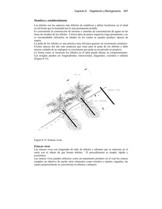 Capítulo 8 Vegetación y Bioingeniería 297
Siembra y establecimiento
Los árboles son las especies más difíciles de establecer y deben localizarse en el talud
en tal forma que la humedad sea lo más permanente posible.
Es conveniente la construcción de terrazas o sistemas de concentración de aguas en las
áreas de siembra de los árboles. Ciertos tipos de pastos requieren riego permanente y no
es recomendable utilizarlos en taludes en los cuales se puedan producir épocas de
sequía.
La poda de los árboles es una práctica muy útil para generar un crecimiento armónico.
Existen épocas del año más propicias que otras para la poda de los árboles y debe
tenerse cuidado de no malograr su crecimiento por poda en un periodo no propicio.
La forma como se localizan los árboles en el talus puede afectar su comportamiento.
Los arreglos pueden ser longitudinales, transversales, diagonales, cruzados o radiales
(Figura 8.13).
Figura 8.14 Estacas vivas.
Estacas vivas
Las estacas vivas son longitudes de tallo de árboles y arbustos que se entierran en el
suelo con el objeto de que broten árboles. El procedimiento es simple, rápido y
económico.
Las estacas vivas pueden utilizarse como un tratamiento primario en el cual las estacas
cumplen un objetivo de anclar otros elementos como trinchos o mantos vegetales, las
cuales posteriormente se convertirían en árboles o arbustos.
 