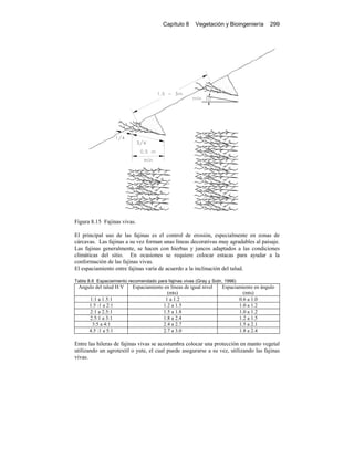 Capítulo 8 Vegetación y Bioingeniería 299
Figura 8.15 Fajinas vivas.
El principal uso de las fajinas es el control de erosión, especialmente en zonas de
cárcavas. Las fajinas a su vez forman unas líneas decorativas muy agradables al paisaje.
Las fajinas generalmente, se hacen con hierbas y juncos adaptados a las condiciones
climáticas del sitio. En ocasiones se requiere colocar estacas para ayudar a la
conformación de las fajinas vivas.
El espaciamiento entre fajinas varía de acuerdo a la inclinación del talud.
Tabla 8.6 Espaciamiento recomendado para fajinas vivas (Gray y Sotir, 1996)
Angulo del talud H:V Espaciamiento en líneas de igual nivel
(mts)
Espaciamiento en ángulo
(mts)
1:1 a 1.5:1 1 a 1.2 0.6 a 1.0
1.5 :1 a 2:1 1.2 a 1.5 1.0 a 1.2
2:1 a 2.5:1 1.5 a 1.8 1.0 a 1.2
2.5:1 a 3:1 1.8 a 2.4 1.2 a 1.5
3:5 a 4:1 2.4 a 2.7 1.5 a 2.1
4.5 :1 a 5:1 2.7 a 3.0 1.8 a 2.4
Entre las hileras de fajinas vivas se acostumbra colocar una protección en manto vegetal
utilizando un agrotextil o yute, el cual puede asegurarse a su vez, utilizando las fajinas
vivas.
 