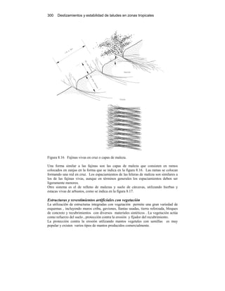300 Deslizamientos y estabilidad de taludes en zonas tropicales
Figura 8.16 Fajinas vivas en cruz o capas de maleza.
Una forma similar a las fajinas son las capas de maleza que consisten en ramos
colocados en zanjas en la forma que se indica en la figura 8.16. Las ramas se colocan
formando una red en cruz. Los espaciamientos de las hileras de maleza son similares a
los de las fajinas vivas, aunque en términos generales los espaciamientos deben ser
ligeramente menores.
Otro sistema es el de relleno de malezas y suelo de cárcavas, utilizando hierbas y
estacas vivas de arbustos, como se indica en la figura 8.17.
Estructuras y revestimientos artificiales con vegetación
La utilizaciön de estructuras integradas con vegetación permite una gran variedad de
esquemas , incluyendo muros criba, gaviones, llantas usadas, tierra reforzada, bloques
de concreto y recubrimientos con diversos materiales sintéticos . La vegetación actúa
como refuerzo del suelo , protección contra la erosión y fijador del recubrimiento.
La protección contra la erosión utilizando mantos vegetales con semillas es muy
popular y existen varios tipos de mantos producidos comercialmente.
 