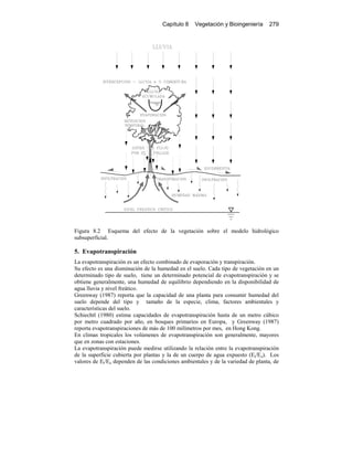 Capítulo 8 Vegetación y Bioingeniería 279
Figura 8.2 Esquema del efecto de la vegetación sobre el modelo hidrológico
subsuperficial.
5. Evapotranspiración
La evapotranspiración es un efecto combinado de evaporación y transpiración.
Su efecto es una disminución de la humedad en el suelo. Cada tipo de vegetación en un
determinado tipo de suelo, tiene un determinado potencial de evapotranspiración y se
obtiene generalmente, una humedad de equilibrio dependiendo en la disponibilidad de
agua lluvia y nivel freático.
Greenway (1987) reporta que la capacidad de una planta para consumir humedad del
suelo depende del tipo y tamaño de la especie, clima, factores ambientales y
características del suelo.
Schiechtl (1980) estima capacidades de evapotranspiración hasta de un metro cúbico
por metro cuadrado por año, en bosques primarios en Europa, y Greenway (1987)
reporta evapotranspiraciones de más de 100 milímetros por mes, en Hong Kong.
En climas tropicales los volúmenes de evapotranspiración son generalmente, mayores
que en zonas con estaciones.
La evapotranspiración puede medirse utilizando la relación entre la evapotranspiración
de la superficie cubierta por plantas y la de un cuerpo de agua expuesto (Et/Eo). Los
valores de Et/Eo dependen de las condiciones ambientales y de la variedad de planta, de
 