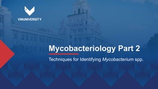 Mycobacteriology Part 2
Techniques for Identifying Mycobacterium spp.
 