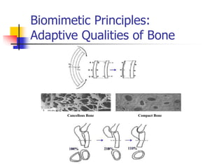 23 1 18 Self Healing Composites.pptx