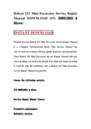 Bobcat 231 Mini Excavator Service Repair
Manual DOWNLOAD (SN: 508912001 &
Above)

INSTANT DOWNLOAD

Original Factory Bobcat 231 Mini Excavator Service Repair Manual

is a Complete Informational Book. This Service Manual has

easy-to-read text sections with top quality diagrams and instructions.

Trust Bobcat 231 Mini Excavator Service Repair Manual will give

you everything you need to do the job. Save time and money by doing

it yourself, with the confidence only a Bobcat 231 Mini Excavator

Service Repair Manual can provide.



Covers the following serials:



S/N 508912001 & Above



Service Repair Manual Covers:



Preventive maintenance

Hydraulic section
 