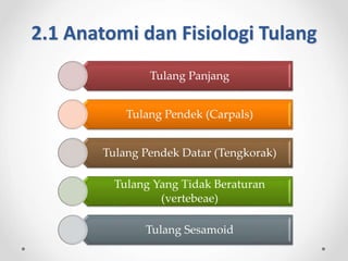 2.1 Anatomi dan Fisiologi Tulang
Tulang Panjang
Tulang Pendek (Carpals)
Tulang Pendek Datar (Tengkorak)
Tulang Yang Tidak Beraturan
(vertebeae)
Tulang Sesamoid
 