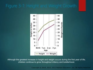 Copyright © 2018, 2015, 2012 Pearson Education, Inc. All Rights Reserved
Figure 3-1: Height and Weight Growth
Although the greatest increase in height and weight occurs during the first year of life,
children continue to grow throughout infancy and toddlerhood.
 