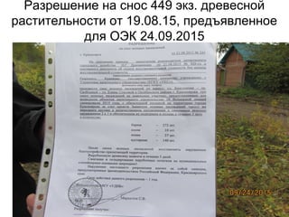 Разрешение на снос 449 экз. древесной
растительности от 19.08.15, предъявленное
для ОЭК 24.09.2015
 