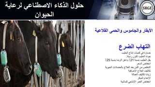 ‫لرعاية‬ ‫االصطناعي‬ ‫الذكاء‬ ‫حلول‬
‫الحيوان‬
‫القالعية‬ ‫والحمى‬ ‫والجاموس‬ ‫األبقار‬
‫الضرع‬ ‫التهاب‬
‫الحليب‬ ‫إنتاج‬ ‫كميات‬ ‫في‬ ‫خسارة‬
‫رديئة‬ ‫تكون‬ ‫الحليب‬ ‫جودة‬
.
‫بنسبة‬ ‫الحليب‬ ‫يقل‬
21
‫بنسبة‬ ‫الزبدة‬ ‫ودهن‬ ٪
25
٪
‫السعر‬ ‫انخفاض‬
‫الحيوية‬ ‫بالمضادات‬ ‫العالج‬ ‫بعد‬ ‫اللبن‬ ‫من‬ ‫التخلص‬
‫اإلضافية‬ ‫العالج‬ ‫تكاليف‬
‫العمالة‬ ‫تكاليف‬ ‫زيادة‬
‫المبكر‬ ‫اإلعدام‬
‫للماشية‬ ‫اإلنتاجي‬ ‫العمر‬ ‫انخفاض‬
 