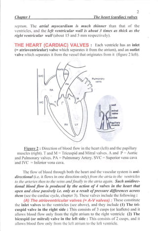 Human Physiology For Medical Students Circulation Cardio Vascular ...
