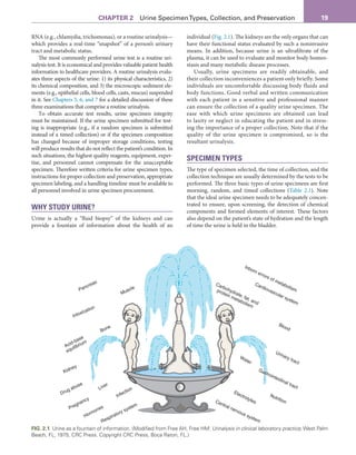 Fundamentals Of Urine And Body Fluid Analysis 5th Nancy A Brunzel | PDF