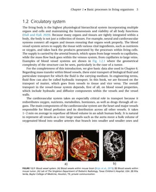 Computational Models In Biomedical Engineering Finite Element Models ...