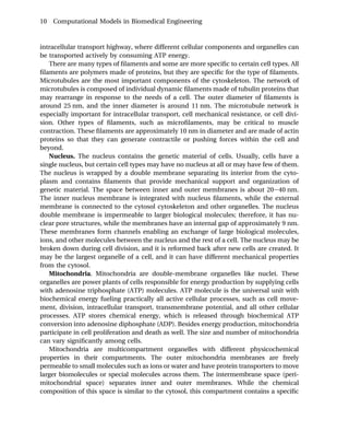 Computational Models In Biomedical Engineering Finite Element Models ...