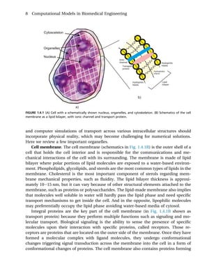 Computational Models In Biomedical Engineering Finite Element Models ...