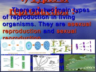 4) Types of
  reproduction
   There are two main :-
of reproduction in living
                         types

organisms. They are asexual
reproduction and sexual
reproduction.
  Asexual reproduction :- is
reproduction in which new
individuals are produced
from a single parent.
 
