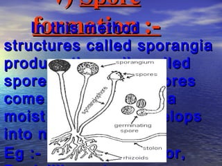 v) Spore
   In this method :-
   formation
structures called sporangia
produce tiny cells called
spores. When the spores
come in contact with a
moist surface, it develops
into new individuals.
Eg :- Rhizopus , Mucor,
 