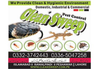 pest control services rawalpindi