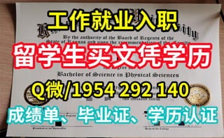 【本科生、研究生】德国柏林自由大学毕业证文凭购买指南