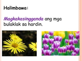 Halimbawa:
Magkakasingganda ang mga
bulaklak sa hardin.
 