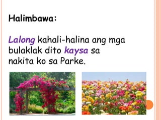 Halimbawa:
Lalong kahali-halina ang mga
bulaklak dito kaysa sa
nakita ko sa Parke.
 