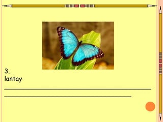 3.
lantay
_____________________________________
________________________________
 