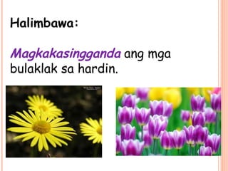 Halimbawa:
Magkakasingganda ang mga
bulaklak sa hardin.
 