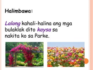 Halimbawa:
Lalong kahali-halina ang mga
bulaklak dito kaysa sa
nakita ko sa Parke.
 