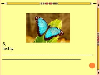 3.
lantay
_____________________________________
________________________________
 