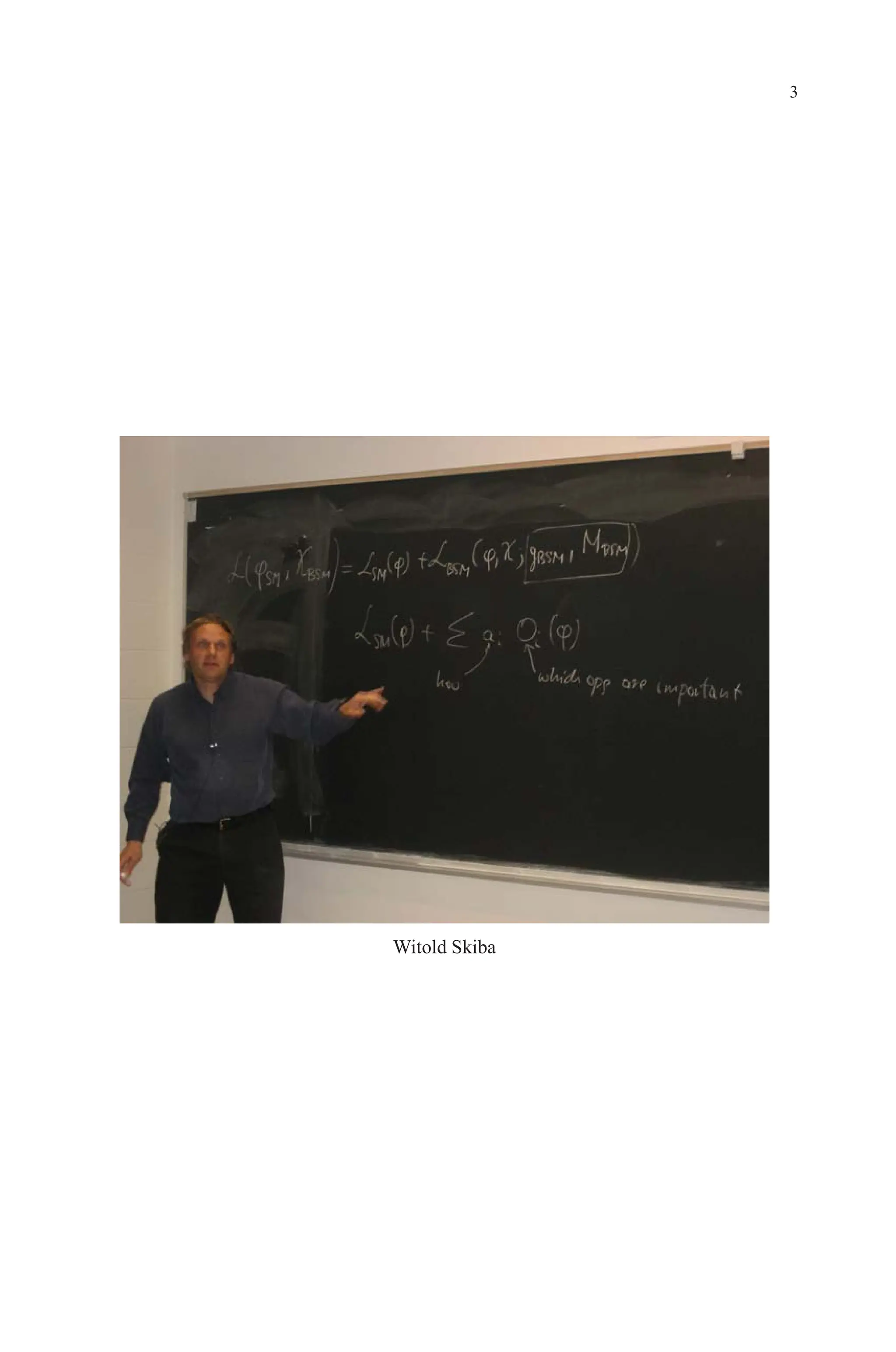 December 22, 2010 9:24 WSPC - Proceedings Trim Size: 9in x 6in tasi2009
3
Witold Skiba
 