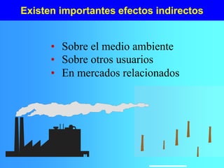 Existen importantes efectos indirectos
• Sobre el medio ambiente
• Sobre otros usuarios
• En mercados relacionados
 