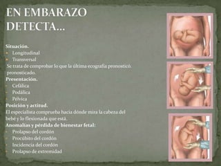 Situación.
 Longitudinal
 Transversal
Se trata de comprobar lo que la última ecografía pronosticó.
pronosticado.
Presentación.
• Cefálica
• Podálica
• Pélvica
Posición y actitud.
El especialista comprueba hacia dónde mira la cabeza del
bebé y lo flexionada que está.
Anomalías y pérdida de bienestar fetal:
• Prolapso del cordón
• Procúbito del cordón
• Incidencia del cordón
• Prolapso de extremidad
 