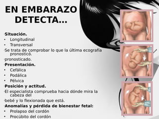 EN EMBARAZO
DETECTA…
Situación. 
• Longitudinal
• Transversal
Se trata de comprobar lo que la última ecografía
pronosticó.
pronosticado.
Presentación.
 Cefálica
 Podálica
 Pélvica
Posición y actitud. 
El especialista comprueba hacia dónde mira la
cabeza del
bebé y lo flexionada que está.
Anomalías y pérdida de bienestar fetal: 
 Prolapso del cordón
 Procúbito del cordón


 