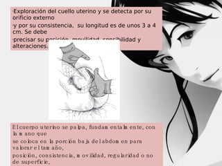Exploración del cuello uterino y se detecta por su
orificio externo
y por su consistencia, su longitud es de unos 3 a 4
cm. Se debe
precisar su posición, movilidad, sensibilidad y
alteraciones. 6


E lcu e rp o u te ri o se p a l a , fu n d a m e n ta l e n te , co n
n
p
m
l m ano que
a
se co l ca e n l p o rci n b a j d e l a b d o m e n p a ra
o
a
ó
a
va l ra r e l ta m a ñ o ,
o
p o si ó n , co n si n ci , m o vi i a d , re g u l ri a d o n o
ci
ste
a
ld
a d
d e su p e rfi e ,
ci

 