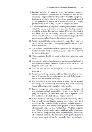 Monoclonal Antibodies Methods And Protocols 2nd Edition Vincent Ossipow ...