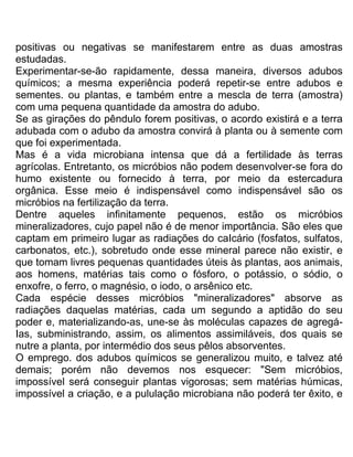positivas ou negativas se manifestarem entre as duas amostras
estudadas.
Experimentar-se-ão rapidamente, dessa maneira, diversos adubos
químicos; a mesma experiência poderá repetir-se entre adubos e
sementes. ou plantas, e também entre a mescla de terra (amostra)
com uma pequena quantidade da amostra do adubo.
Se as girações do pêndulo forem positivas, o acordo existirá e a terra
adubada com o adubo da amostra convirá à planta ou à semente com
que foi experimentada.
Mas é a vida microbiana intensa que dá a fertilidade às terras
agrícolas. Entretanto, os micróbios não podem desenvolver-se fora do
humo existente ou fornecido à terra, por meio da estercadura
orgânica. Esse meio é indispensável como indispensável são os
micróbios na fertilização da terra.
Dentre aqueles infinitamente pequenos, estão os micróbios
mineralizadores, cujo papel não é de menor importância. São eles que
captam em primeiro lugar as radiações do caIcário (fosfatos, sulfatos,
carbonatos, etc.), sobretudo onde esse mineral parece não existir, e
que tomam livres pequenas quantidades úteis às plantas, aos animais,
aos homens, matérias tais como o fósforo, o potássio, o sódio, o
enxofre, o ferro, o magnésio, o iodo, o arsênico etc.
Cada espécie desses micróbios "mineralizadores" absorve as
radiações daquelas matérias, cada um segundo a aptidão do seu
poder e, materializando-as, une-se às moléculas capazes de agregá-
Ias, subministrando, assim, os alimentos assimiláveis, dos quais se
nutre a planta, por intermédio dos seus pêlos absorventes.
O emprego. dos adubos químicos se generalizou muito, e talvez até
demais; porém não devemos nos esquecer: "Sem micróbios,
impossível será conseguir plantas vigorosas; sem matérias húmicas,
impossível a criação, e a pululação microbiana não poderá ter êxito, e
 