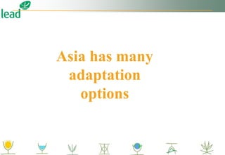 Asia has many
adaptation
options
 