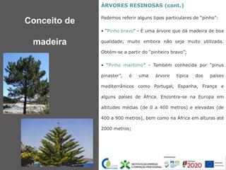 ÁRVORES RESINOSAS (cont.)
Podemos referir alguns tipos particulares de “pinho”:
• “Pinho bravo” - É uma árvore que dá madeira de boa
qualidade, muito embora não seja muito utilizada.
Obtém-se a partir do “pinheiro bravo”;
• “Pinho marítimo” - Também conhecida por “pinus
pinaster”, é uma árvore típica dos países
mediterrânicos como Portugal, Espanha, França e
alguns países de África. Encontra-se na Europa em
altitudes médias (de 0 a 400 metros) e elevadas (de
400 a 900 metros), bem como na África em alturas até
2000 metros;
Conceito de
madeira
 