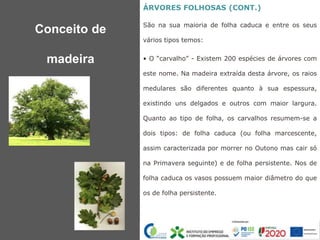 ÁRVORES FOLHOSAS (CONT.)
São na sua maioria de folha caduca e entre os seus
vários tipos temos:
• O “carvalho” - Existem 200 espécies de árvores com
este nome. Na madeira extraída desta árvore, os raios
medulares são diferentes quanto à sua espessura,
existindo uns delgados e outros com maior largura.
Quanto ao tipo de folha, os carvalhos resumem-se a
dois tipos: de folha caduca (ou folha marcescente,
assim caracterizada por morrer no Outono mas cair só
na Primavera seguinte) e de folha persistente. Nos de
folha caduca os vasos possuem maior diâmetro do que
os de folha persistente.
Conceito de
madeira
 