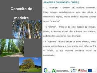 ÁRVORES FOLHOSAS (CONT.)
• O “eucalipto” - Existem 230 espécies diferentes.
Estas árvores caracterizam-se pela sua altura e
crescimento rápido, muito embora algumas apenas
sejam “arbustos”;
• O “álamo” - Trata-se de uma espécie de choupo.
Porém, é possível extrair desta árvore boa madeira,
podendo ter os destinos mais diversos;
• A “nogueira” - É uma árvore de altura elevada, tendo
a casca acinzentada e a copa grande com folhas de 7 a
9 folíolos. A sua madeira utiliza-se muito na
marcenaria;
Conceito de
madeira
 
