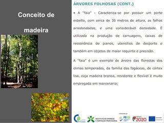 ÁRVORES FOLHOSAS (CONT.)
• A “faia” - Caracteriza-se por possuir um porte
esbelto, com cerca de 30 metros de altura, as folhas
arredondadas, e uma considerável densidade. É
utilizada na produção de carruagens, caixas de
ressonância de pianos, utensílios de desporto e
também em objetos de maior requinte e precisão.
A “faia” é um exemplo de árvore das florestas dos
climas temperados, da família das fagáceas, de córtex
liso, cuja madeira branca, resistente e flexível é muito
empregada em marcenaria;
Conceito de
madeira
 